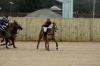 Oxford Polo 2023_01_08 0004